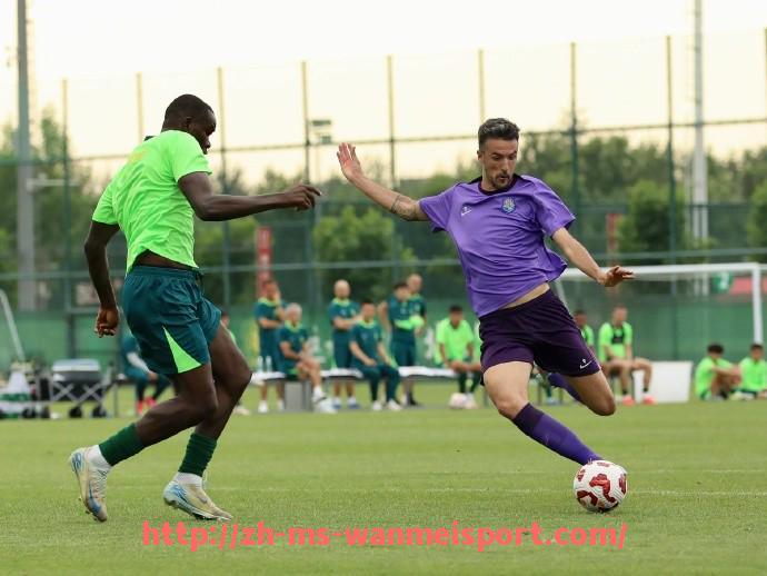 完美体育app-德甲联赛中的女排球队是否存在?探析体育结构差异