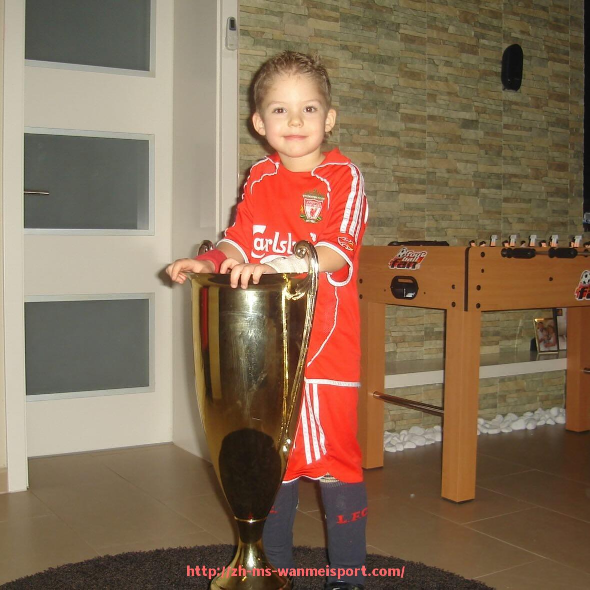 完美体育app-德甲联赛中的女排球队是否存在?探析体育结构差异