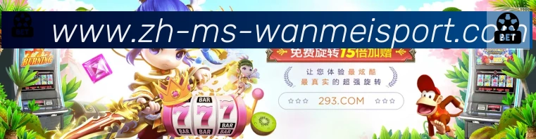 未来规划